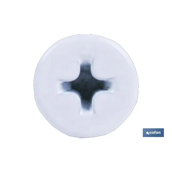 TORNILLO AUTOT. EXTRAPLANO 4,2 X 23 BLANCO
