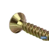 DIN 7505A TORX (T-25) M-5x60
