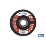 DISCO LAMINADO ESTANDAR INCLINADO 115 MM. G-80 ZIRCONIO