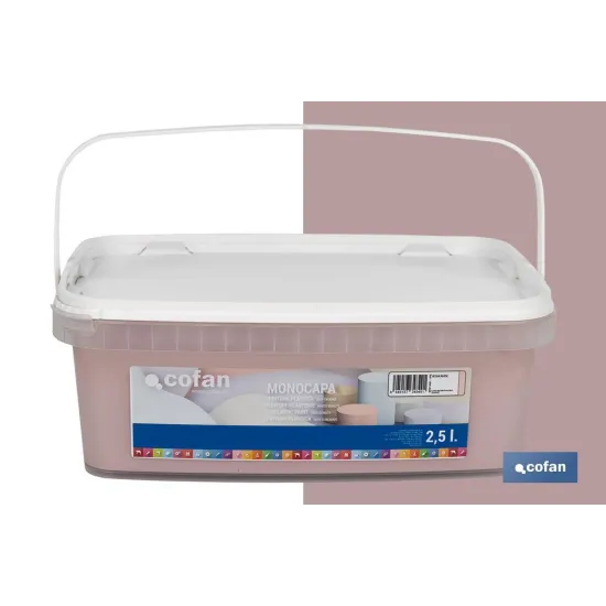 PINTURA PLÁSTICA MONOCAPA ROSA NUDE 2,5 L