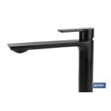 GRIFO ALTO MONOMANDO PARA LAVABO NEGRO MATE MODELO KERCH  25mm