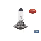 LÁMPARA HALÓGENA COFAN H7 (Px26d) 12V 55W