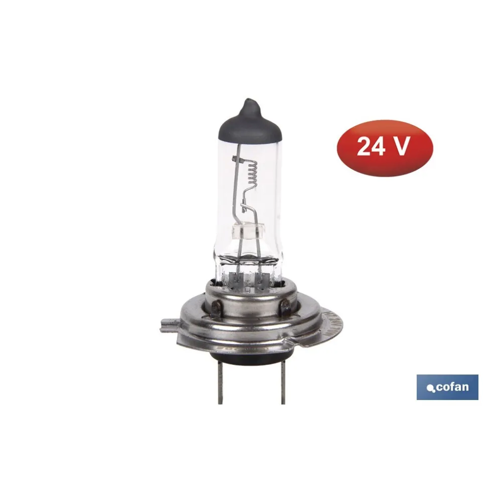 LÁMPARA HALÓGENA COFAN H7 (Px26d) 24V 70W