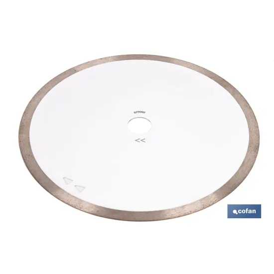 DISCO PORCELANICO MAQUINAS DE MESA 250mm - H25,4