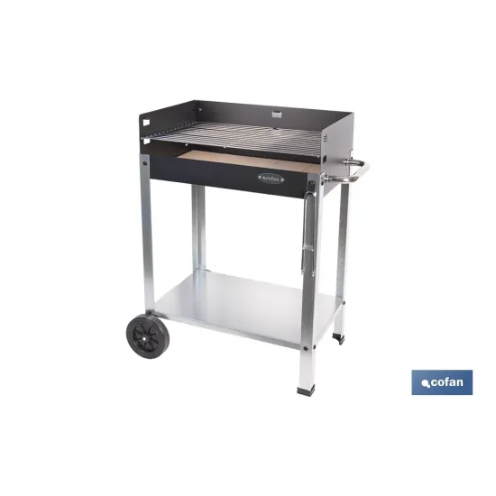 BARBACOA DE CARBÓN CON LADRILLO REFRACTARIO 567 X 360 X 830 MM