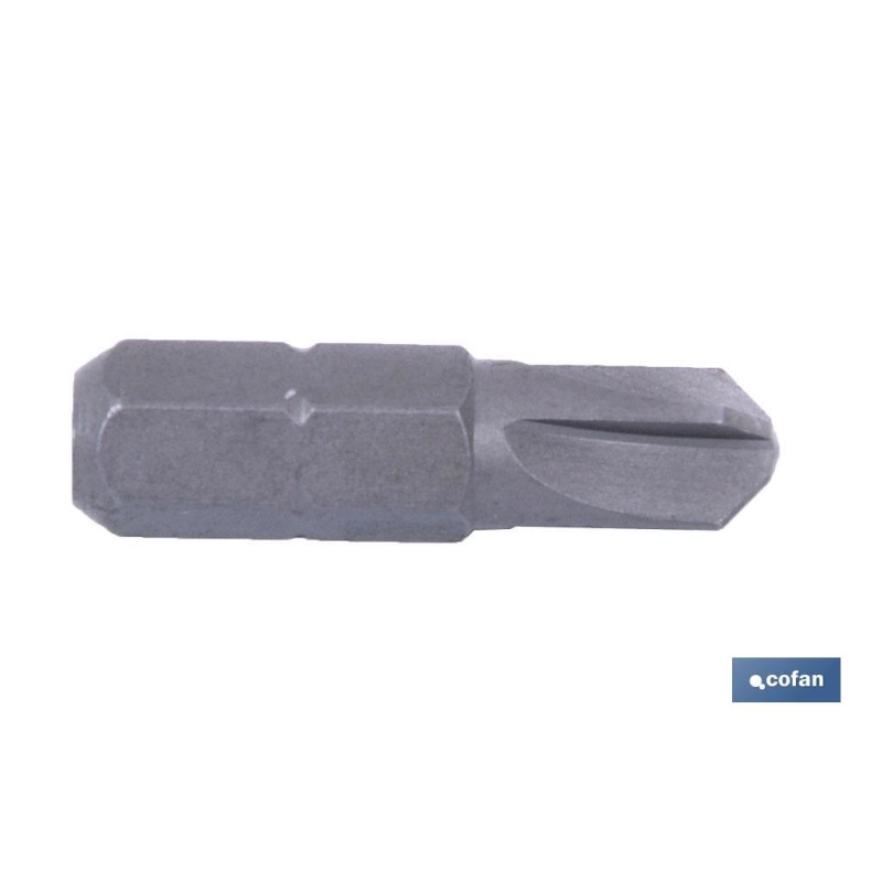 PUNTA T. SET EXTRA 1/4, Nº 4