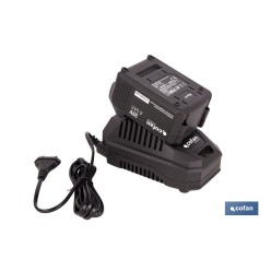 PACK CARGADOR 20 V 4.5 A Y BATERÍA LI-ION 20 V 4.0AH