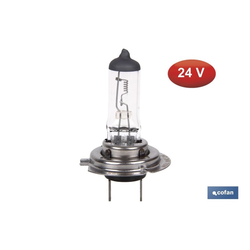 LÁMPARA HALÓGENA COFAN H7 (Px26d) 24V 70W