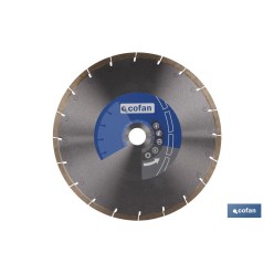 DISCO PORCELANICO MAQUINAS DE MESA 250mm - H25,4