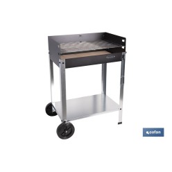 BARBACOA DE CARBÓN CON LADRILLO REFRACTARIO 567 X 360 X 830 MM