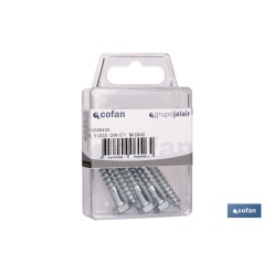 BL 5 UDS. DIN-571  M-6X60