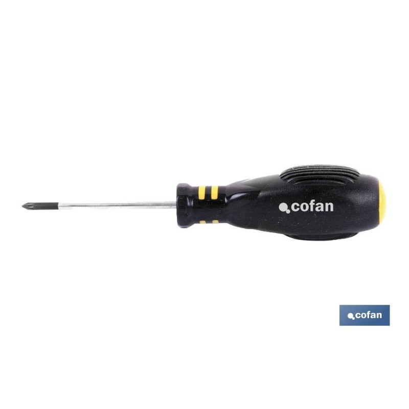 DESTORNILLADOR POZIDRIVE PZ. 2 X 100