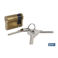 Cilindro Medio 40/10-L.Larga-Latón Llaves Iguales AAA