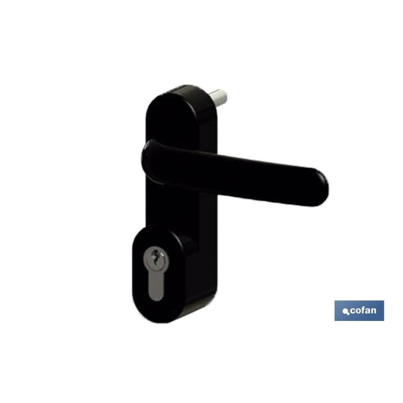 MANIVELA+CILINDRO ANTIPANICO