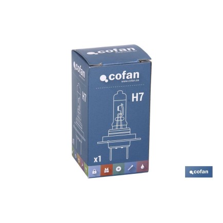 LÁMPARA HALÓGENA COFAN H7 (Px26d) 12V 55W