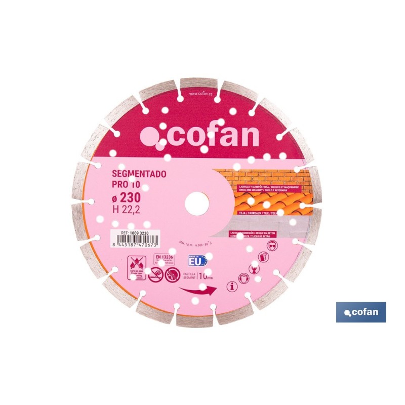 DISCO UNIVERSAL SEGMENTADO PRO 10 - 230 MM