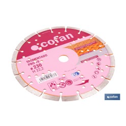 DISCO UNIVERSAL SEGMENTADO PRO 10 - 230 MM