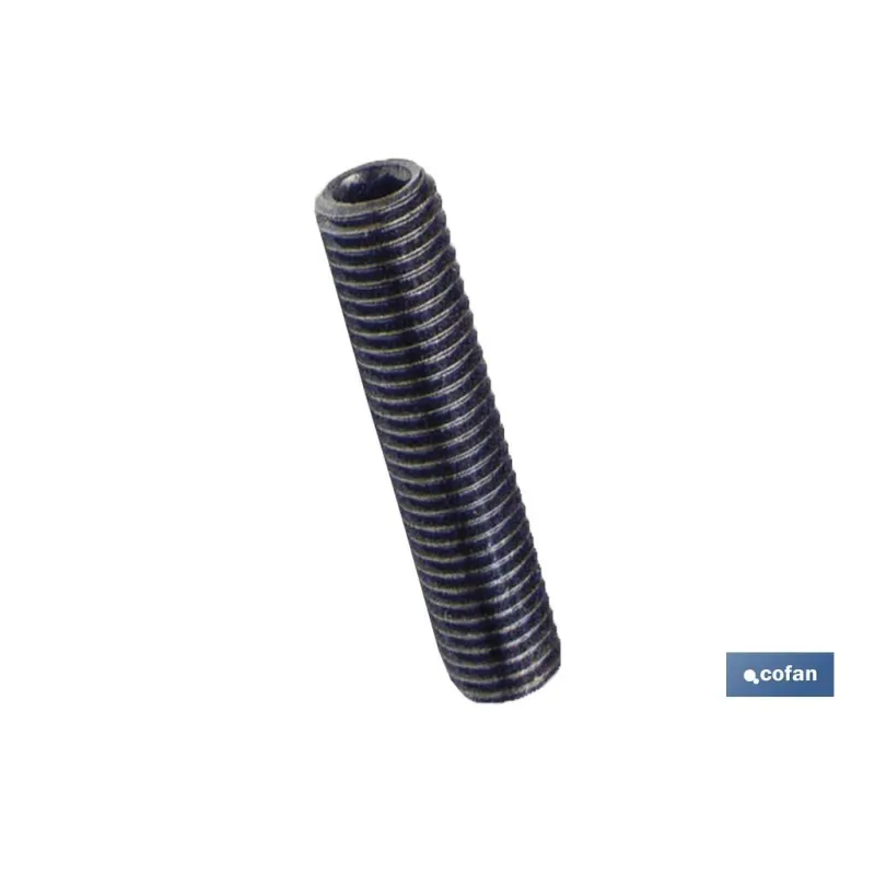 DIN-913  C-45H  M-10 X 100  N