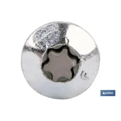 TORNILLO INVIOLABLE TORX30 M-7X70