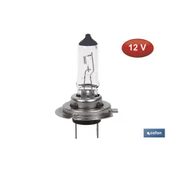 LÁMPARA HALÓGENA COFAN H7 (Px26d) 12V 55W