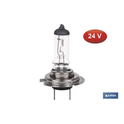 LÁMPARA HALÓGENA COFAN H7 (Px26d) 24V 70W