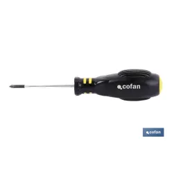 DESTORNILLADOR POZIDRIVE PZ. 2 X 100