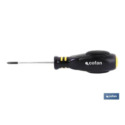 DESTORNILLADOR POZIDRIVE PZ. 2 X 100