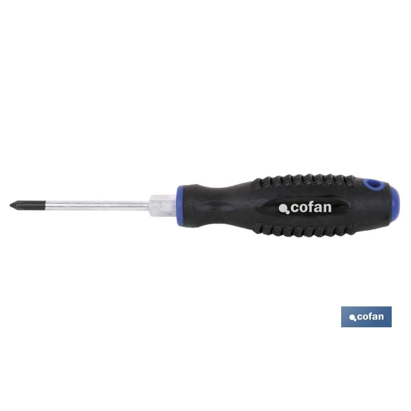 DESTORN. CR-MOLIBDENO C/HEX. PH-1X80