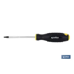 DESTORN. CR-MOLIBDENO CUADRADO R-2X100