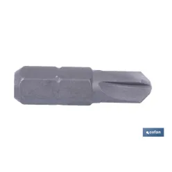 PUNTA T. SET EXTRA 1/4, Nº 6