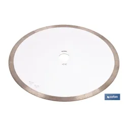 DISCO PORCELANICO MAQUINAS DE MESA 250mm - H25,4