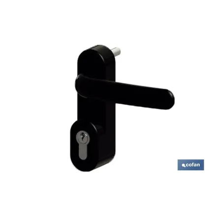 MANIVELA+CILINDRO ANTIPANICO