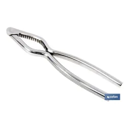 CASCANUECES DE ACERO INOXIDABLE 18 CM