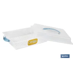 TARTERA RECTANGULAR AZUL OPACA PAVLOVA CON ASAS 38 X 28 X 13 CM venta unitaria