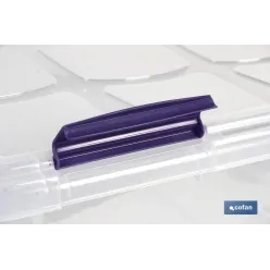 CAJA ORDENACION CON RUEDAS 36L MODELO RICORDI 59X40X25cm