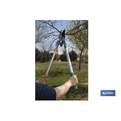 TIJERA PODA TELESCOPICA 25 - 38