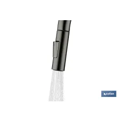 GRIFO DE COCINA DE ACERO NEGRO CON MANGUERA EXTENSIBLE Y 2 FUNCIONES 390 X 250 X 54 MM