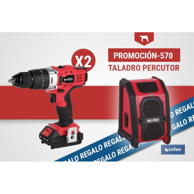 PACK DE TALADRO PERCUTOR (2 UDS.) Y ALTAVOZ BLUETOOTH