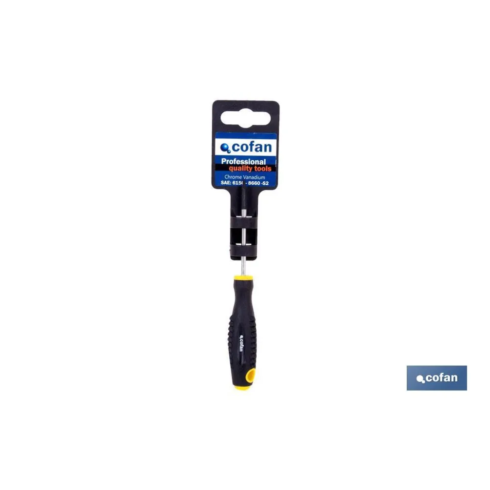 DESTORN. CR-MOLIBDENO TORX T-40X150
