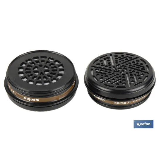 SET 2 FILTROS TIPO A1