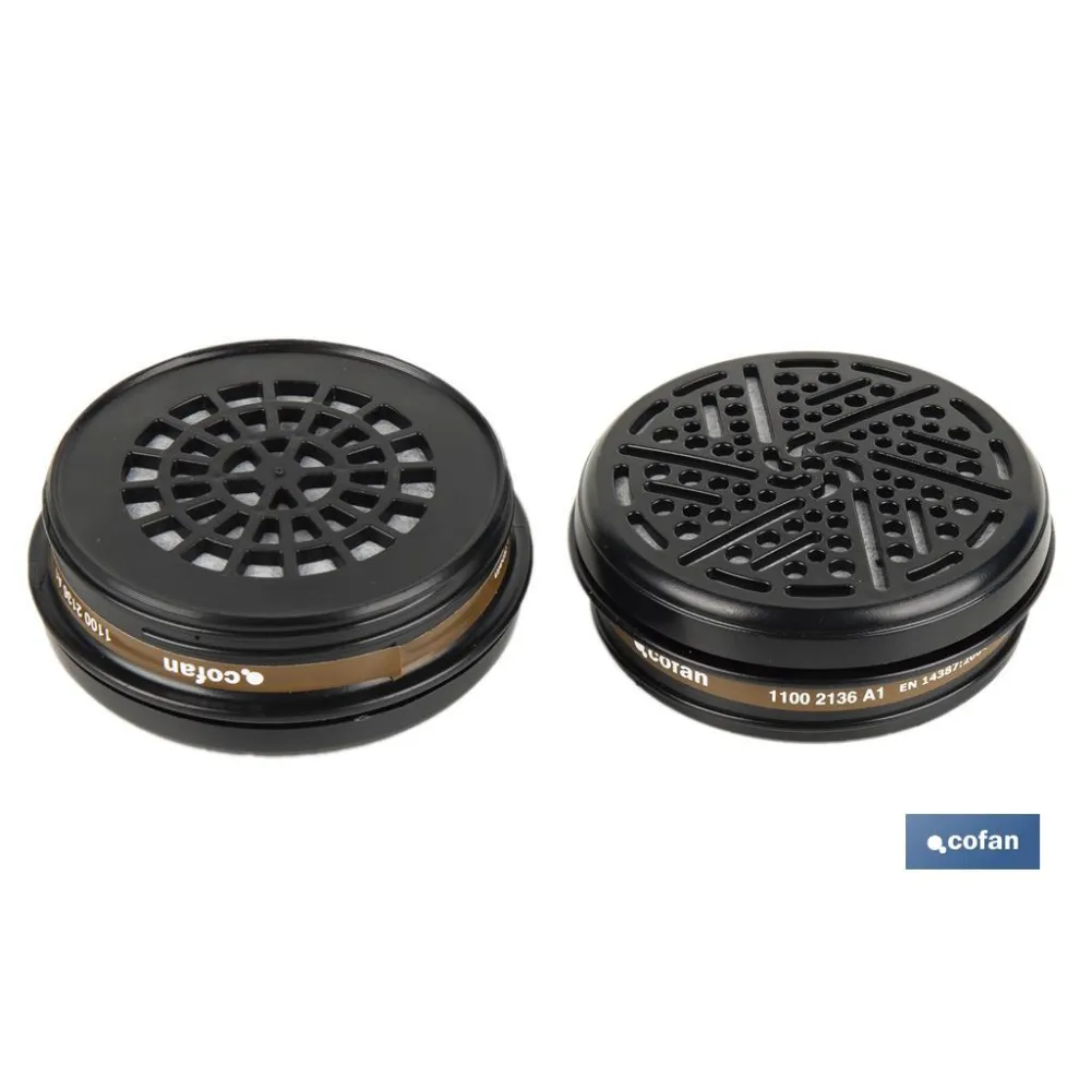 SET 2 FILTROS TIPO A1