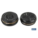 SET 2 FILTROS TIPO A1