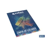 CARTA DE COLORES PINTURA PLASTICA MONOCAPA