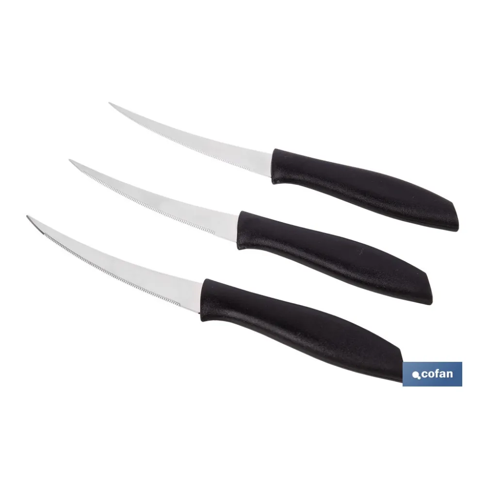 PACK DE 3 CUCHILLOS PARA FRUTA Y VERDURA 21 CM