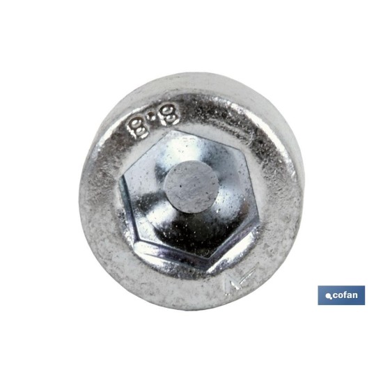 DIN-912 C-8.8    M-4 X 30 Z