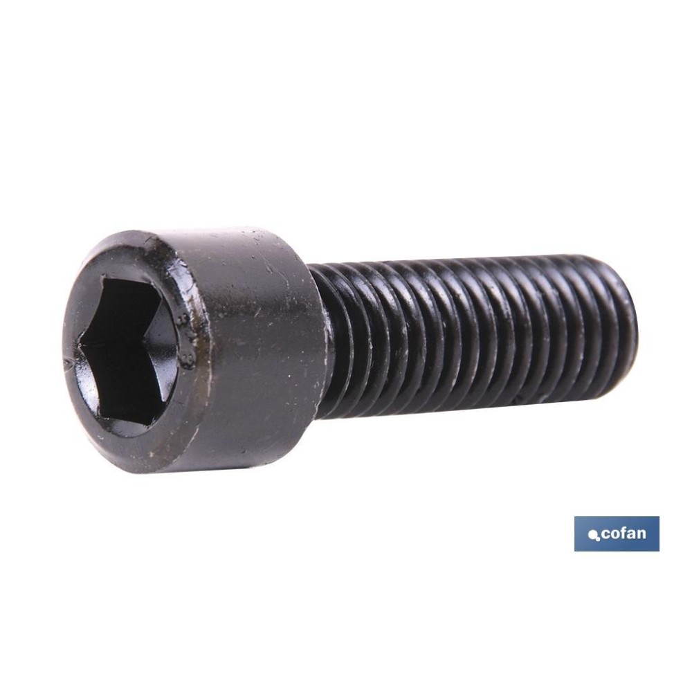 DIN-912 C-12.9    M-4 X 10 N