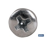 DIN-7981 PH  M-2,9 X 9,5  Z