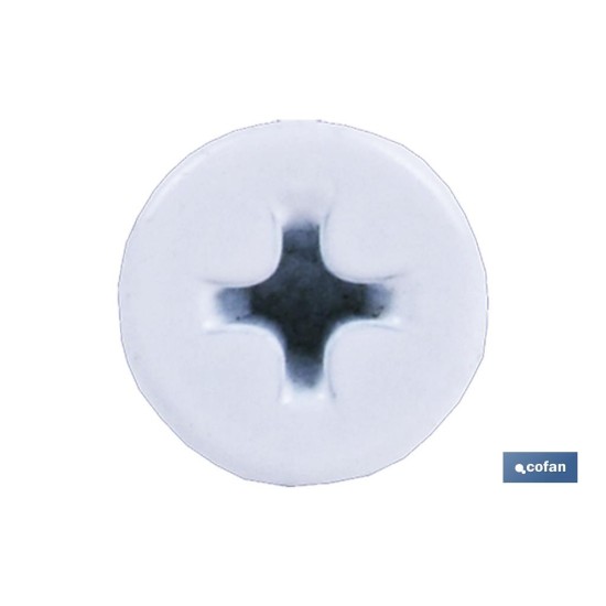 TORNILLO AUTOT. EXTRAPLANO 4,2 X 23 BLANCO
