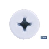 TORNILLO AUTOT. EXTRAPLANO 4,2 X 23 BLANCO