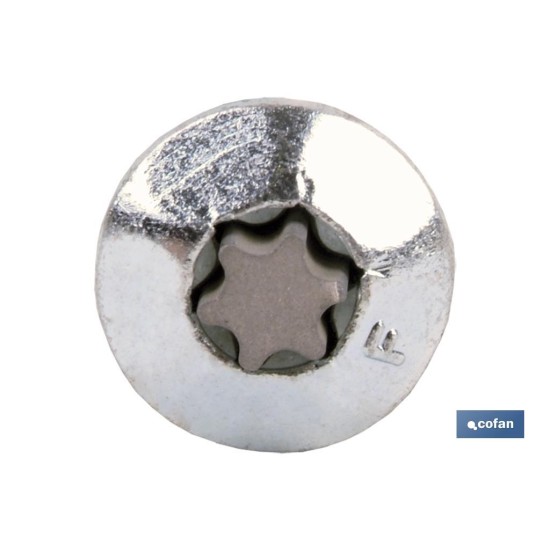 TORNILLO INVIOLABLE TORX30 M-7X50